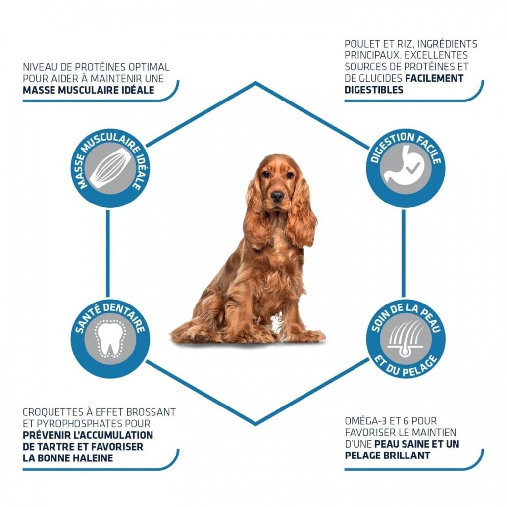 Les bénéfices annoncés des croquettes Advance Medium Adult pour chien
