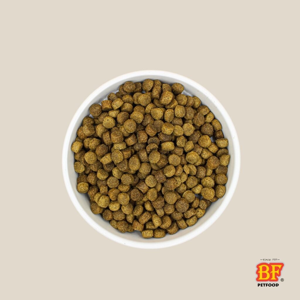 Gamelle de croquettes Biofood classiques pour chien