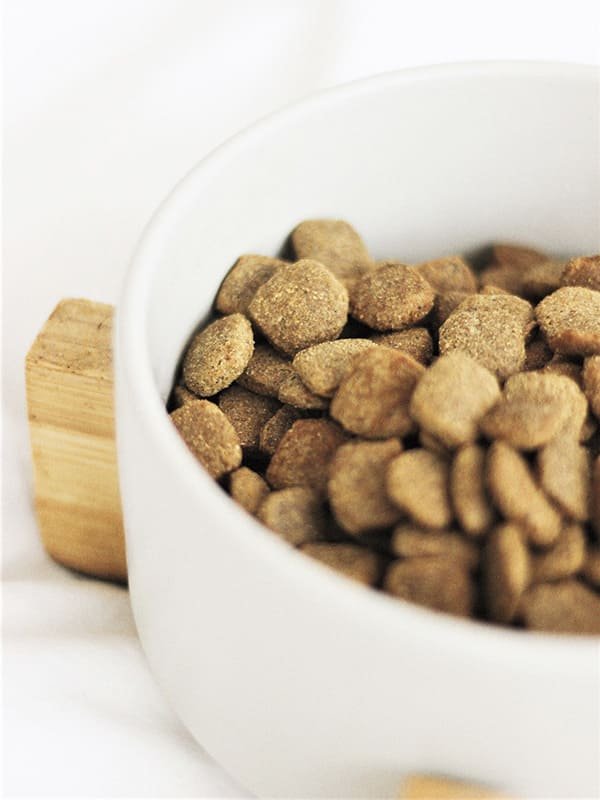 Bol de croquettes Bravery sans céréales, visuel officiel de la marque