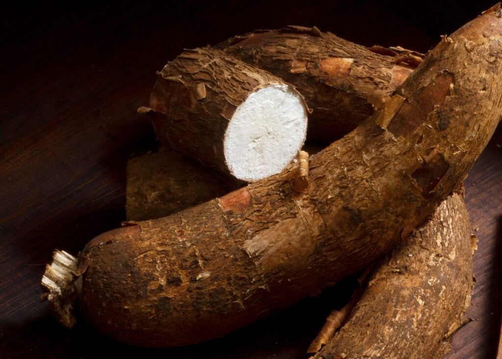 Racines de manioc, source du tapioca des croquettes Bravery (visuel officiel)