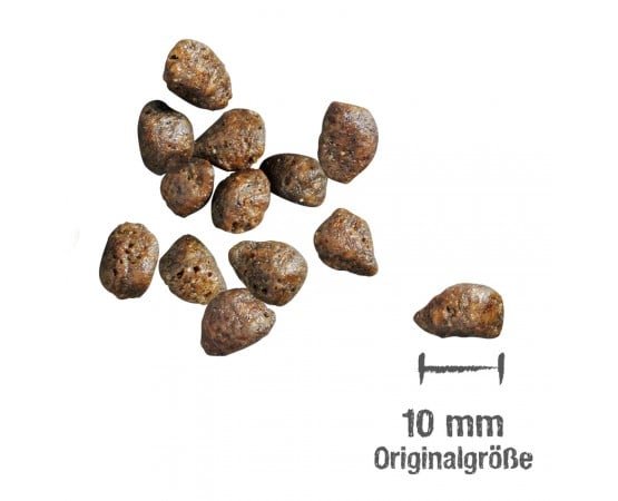 Croquettes Leonardo Fresh Salmon de 10 mm