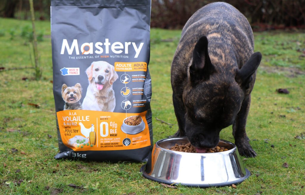 Chien bringé qui mange dans une gamelle inox à côté d'un sac Mastery Adulte Volaille (visuel officiel)