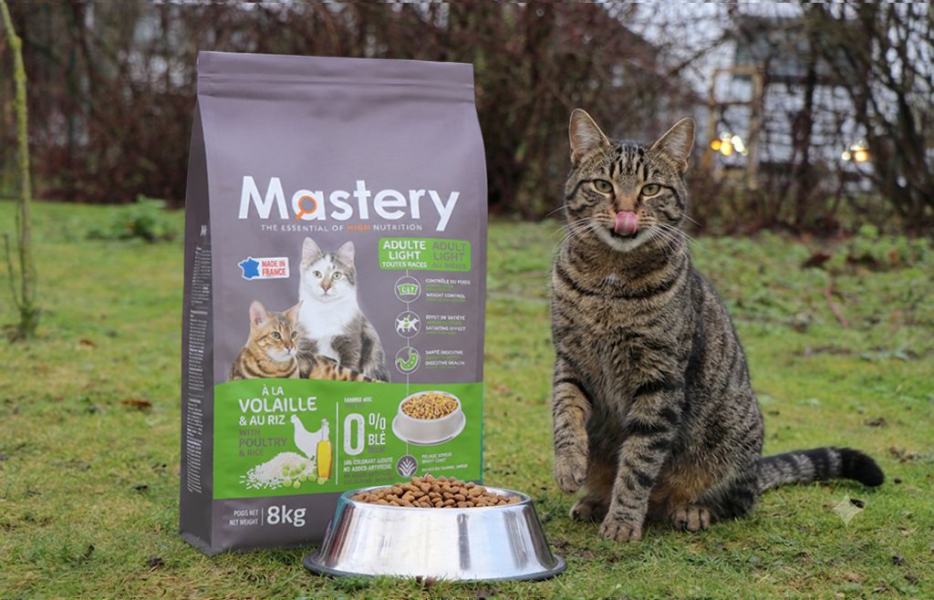 Chat tigré assis à côté d'un sac Mastery Chat Light Stérilisé et d'une gamelle inox (visuel officiel)