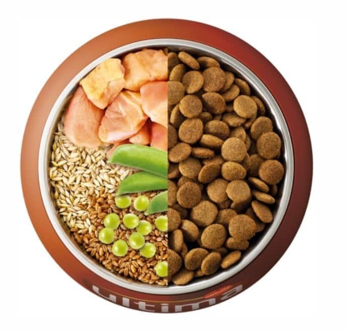 Gamelle de croquettes Ultima pour chien avec poulet, céréales et pois