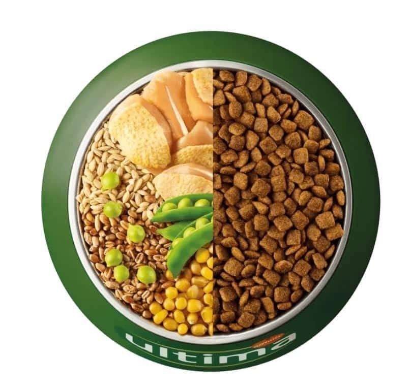 Gamelle de croquettes Ultima pour chat avec poulet, céréales et pois