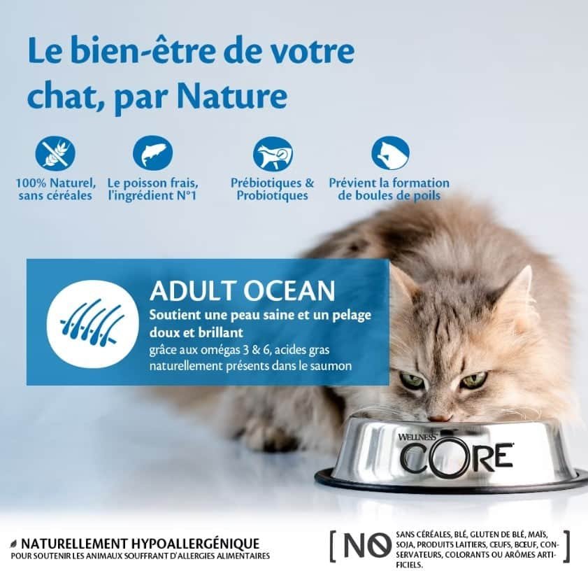 Chat qui mange des croquettes Wellness CORE Océan dans une gamelle CORE (visuel officiel)