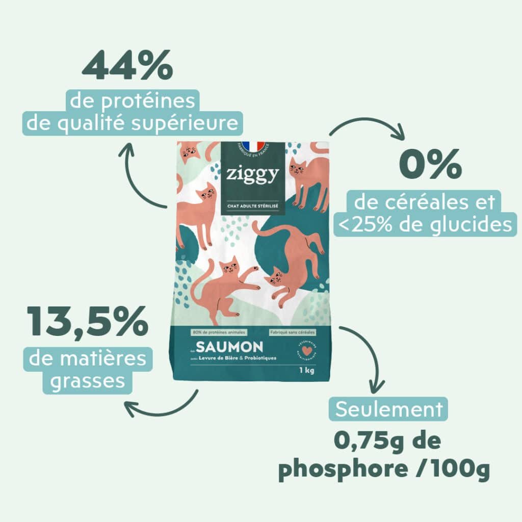 Visuel officiel des croquettes Ziggy au saumon : 44 % de protéines, 13,5 % de matiÚres grasses, 0,75 g de phosphore