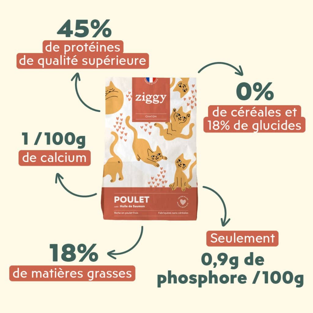 Visuel officiel des croquettes Ziggy chaton : 45 % de protéines, 18 % de matiÚres grasses, 18 % de glucides