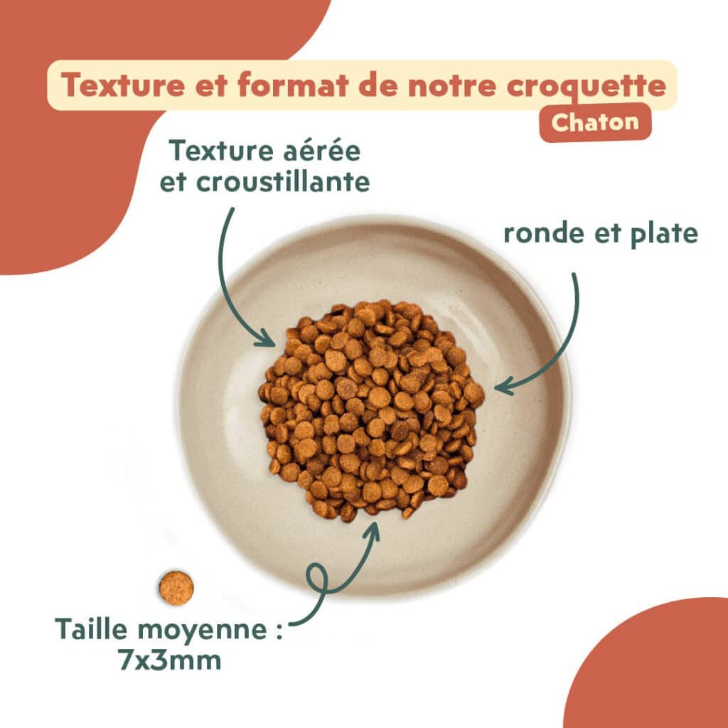 Taille des croquettes Ziggy pour chaton : 7 Ă 3 mm