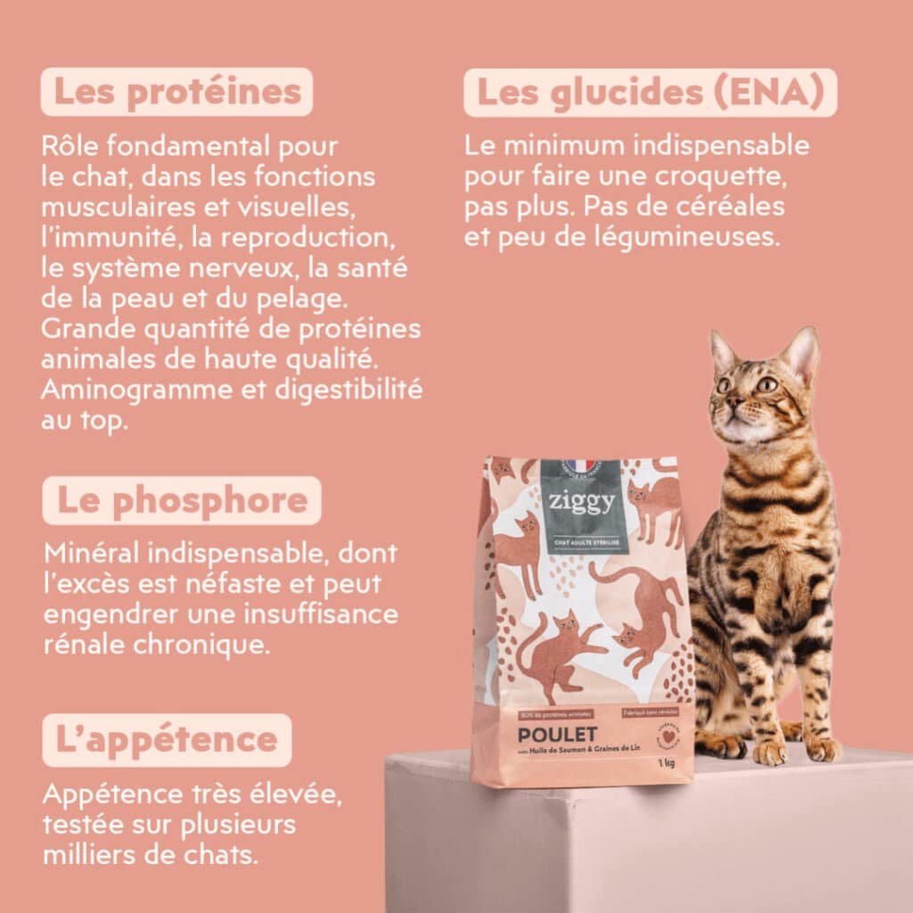 Explications Ziggy sur les protéines, les glucides, le phosphore et l'appétence de ses croquettes pour chat stérilisé