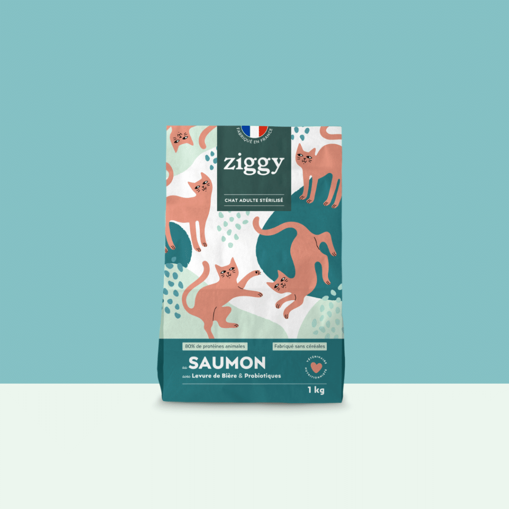 Sac de 1 kg de croquettes Ziggy au saumon pour chat stérilisé