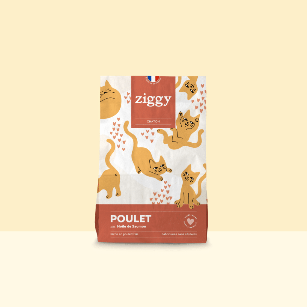 Sac de 1 kg de croquettes Ziggy pour chaton