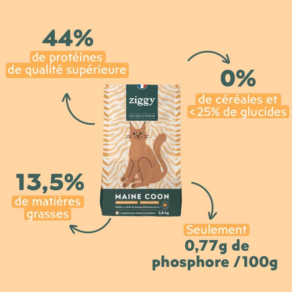 Visuel officiel des croquettes Ziggy Maine Coon : 44 % de protéines, 13,5 % de matiÚres grasses, 0,77 g de phosphore