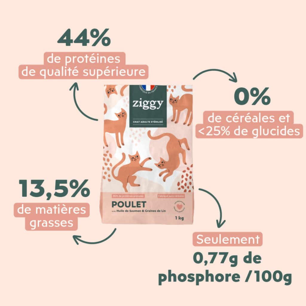 Visuel officiel des croquettes Ziggy chat stérilisé : 44 % de protéines, 0 % de céréales, 0,77 g de phosphore pour 100 g