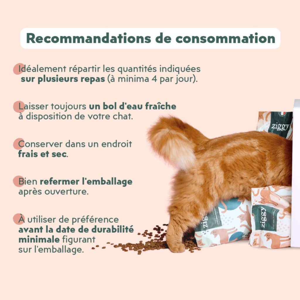 Recommandations Ziggy : répartir la ration en plusieurs repas, laisser de l'eau fraßche, bien refermer l'emballage