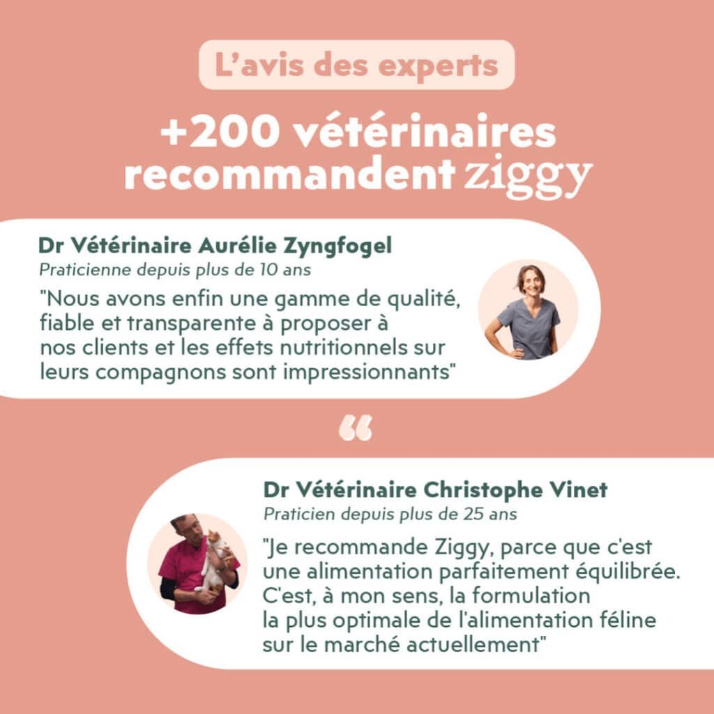Avis de vétérinaires sur les croquettes Ziggy