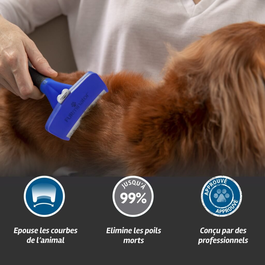 Brossage d'un chien avec la FURminator poils courts, poils morts accrochés à la lame