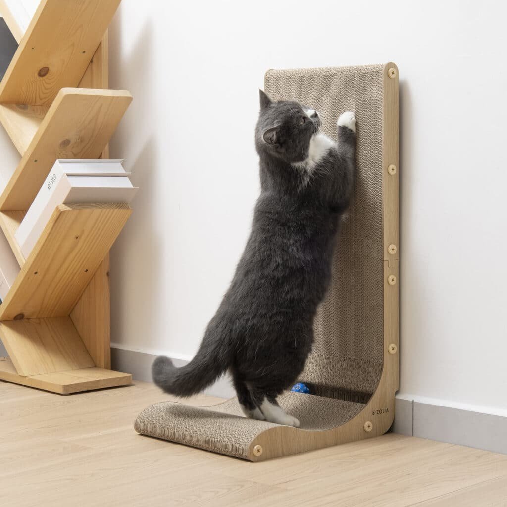 Chat gris qui griffe le griffoir en carton en forme de L Zolia Floyd