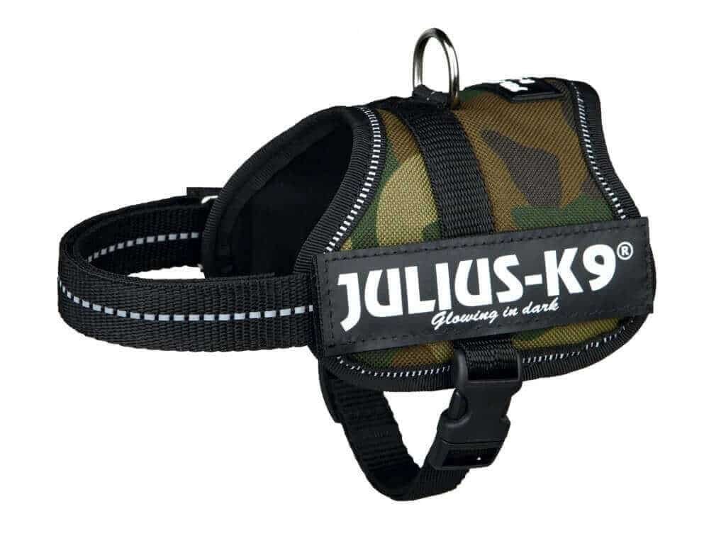 Harnais Julius-K9 Power camouflage glowing in dark