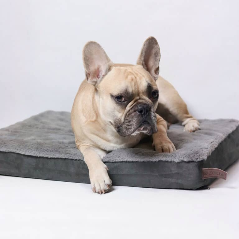 Matelas orthopédique Zolia Nixon : mon avis sur le couchage le mieux noté de Zoomalia