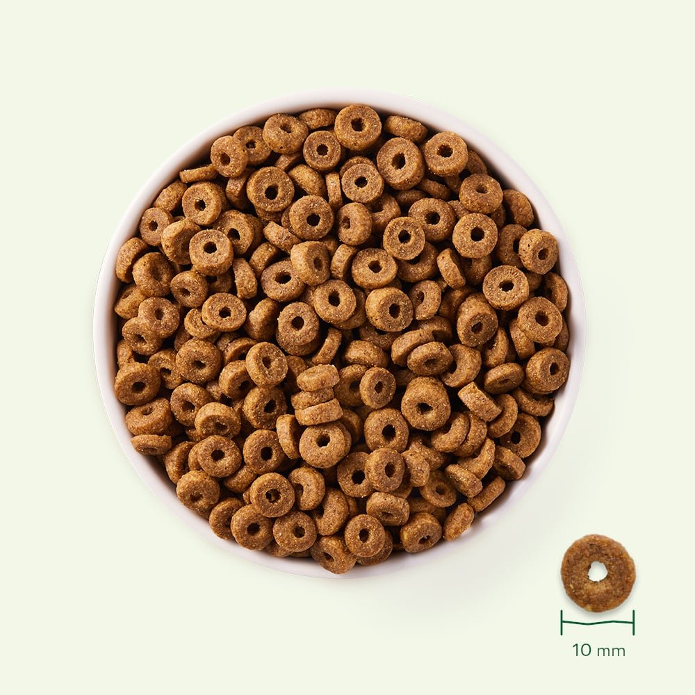 Bol de croquettes Yarrah Bio pour chat, en forme d'anneau de 10 mm