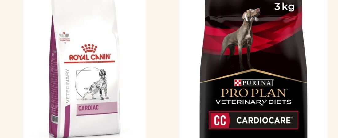 Meilleures croquettes pour chien cardiaque : notre comparatif