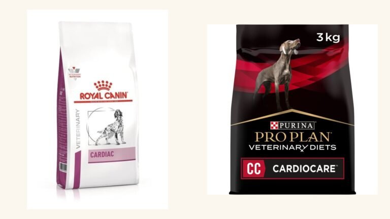 Meilleures croquettes pour chien cardiaque : notre comparatif
