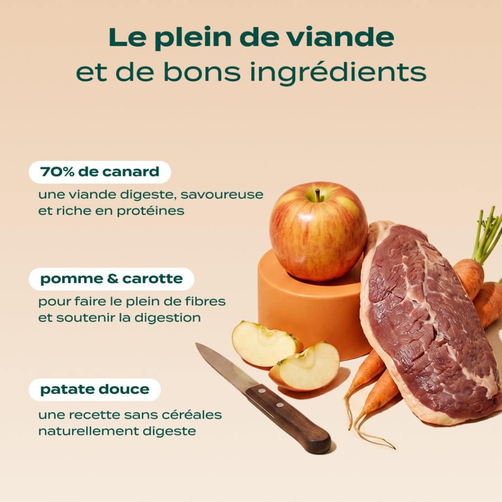 Visuel officiel Franklin des ingrédients de la recette chien Canard, Pomme, Carotte