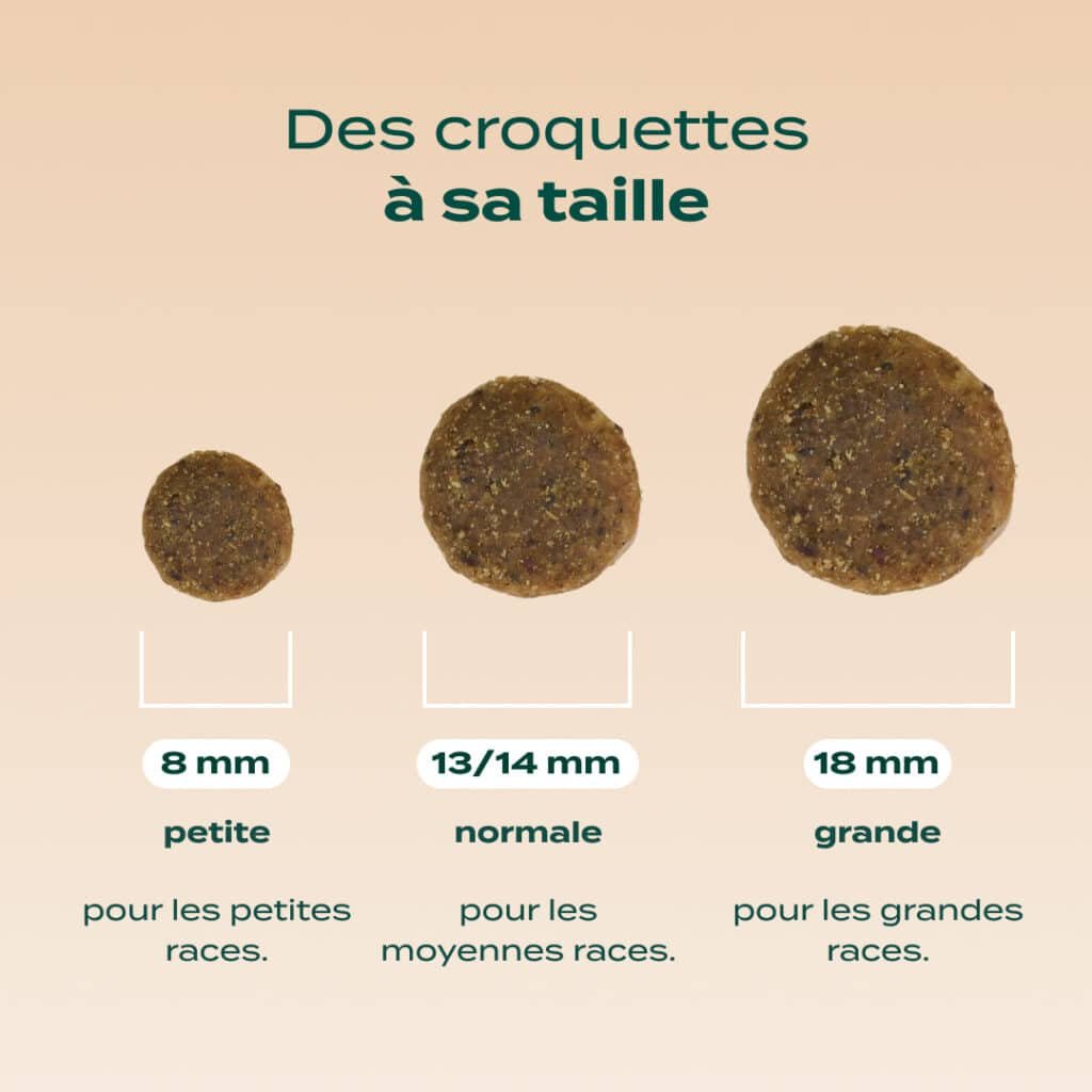 Tailles des croquettes Franklin pour chien : 8 mm, 13-14 mm et 18 mm