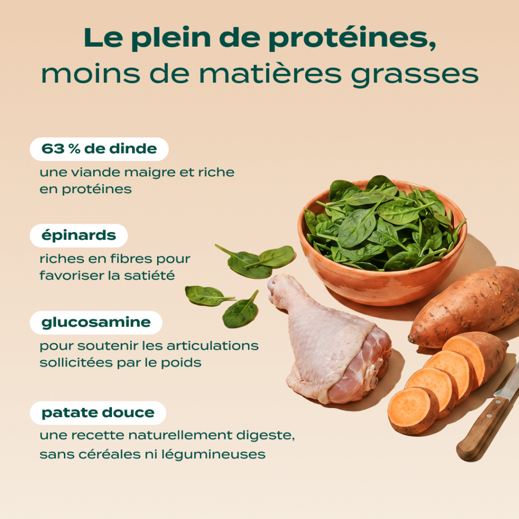 Visuel officiel Franklin des ingrédients de la recette chien Light Dinde, Patate douce, Épinards