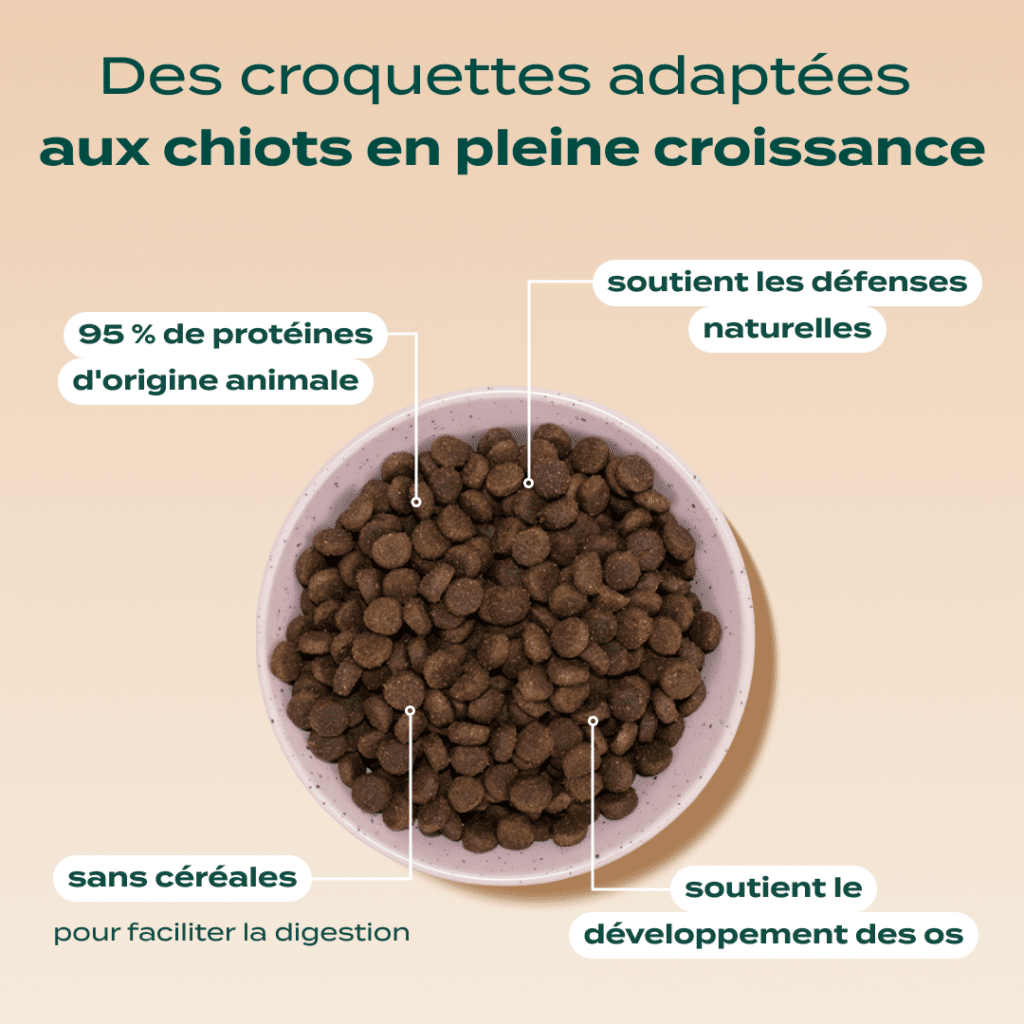 Bénéfices annoncés par Franklin pour la recette Chiot Dinde, Truite, Patate douce