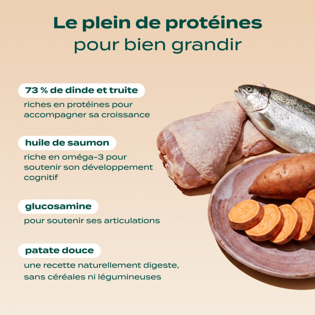 Visuel officiel Franklin des ingrédients de la recette Chiot Dinde, Truite, Patate douce