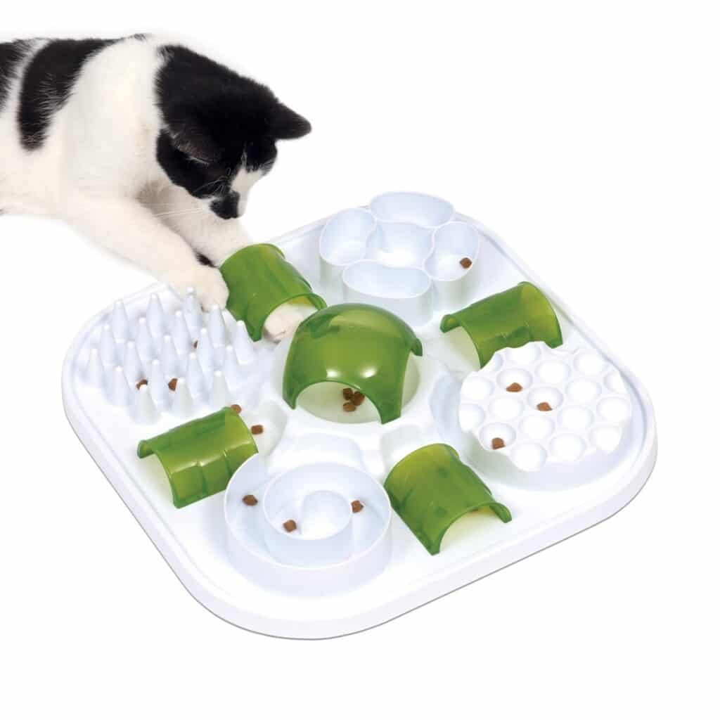 Chat qui mange dans le puzzle anti-glouton Catit Play Treat Puzzle