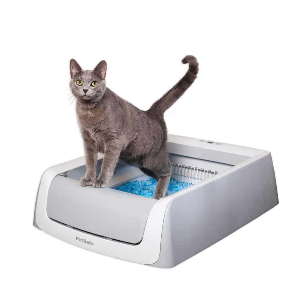 Chat dans la litière PetSafe ScoopFree sans couvercle