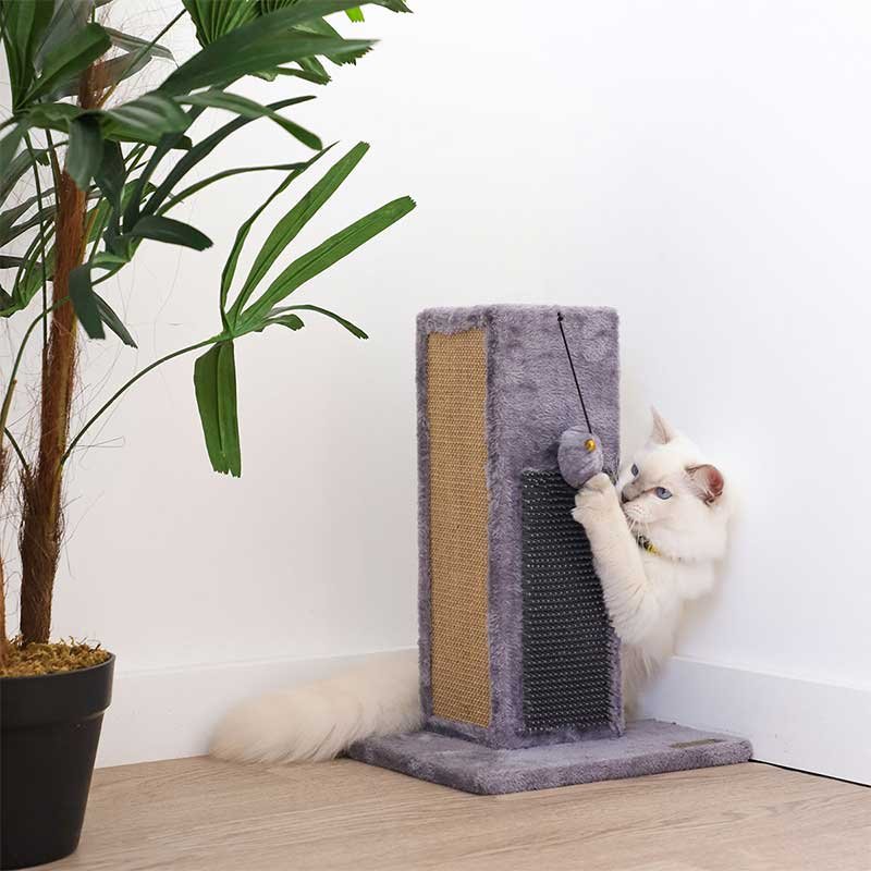 Chat blanc qui se frotte contre le poteau griffoir d'angle Zolia Gina