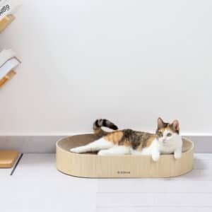 Griffoir en carton pour chat Zolia Itza - 2 coloris