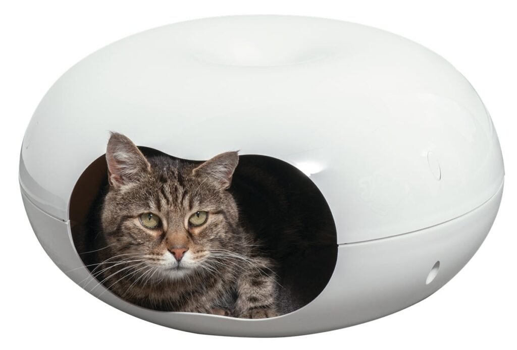 Dôme blanc Moderna Doonut avec un chat tigré qui regarde par l'ouverture
