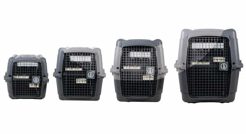 Les quatre tailles de la cage de transport Zolia Quincy alignées