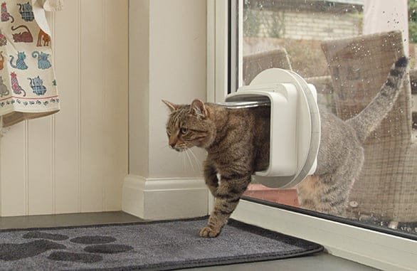 Chat tigré sortant par la chatière SureFlap DualScan installée dans une baie vitrée