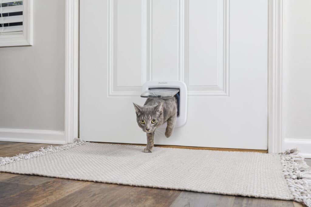 Chat passant par une chatière PetSafe installée dans une porte intérieure blanche