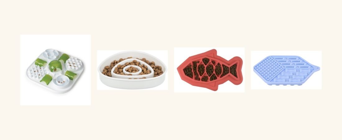 Meilleure gamelle anti-glouton pour chat : notre comparatif