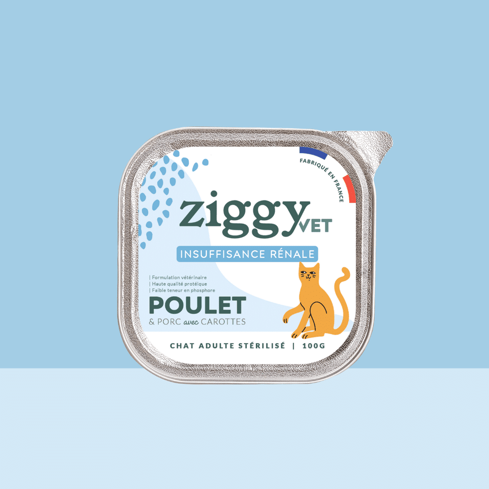 Pùtée Ziggy VET Insuffisance rénale au poulet pour chat adulte, barquette de 100 g