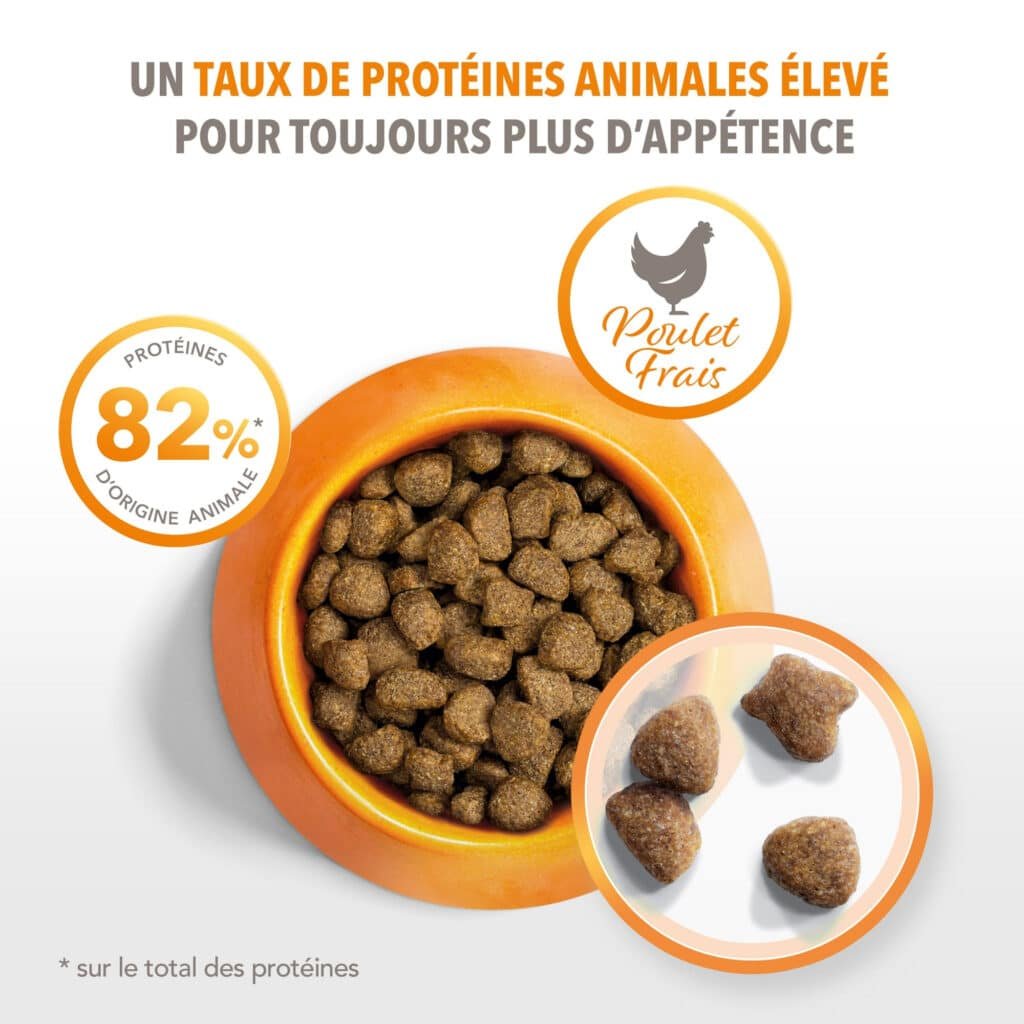Visuel officiel Iams pour chien adulte : 82 % de protéines animales sur le total des protéines, au poulet frais