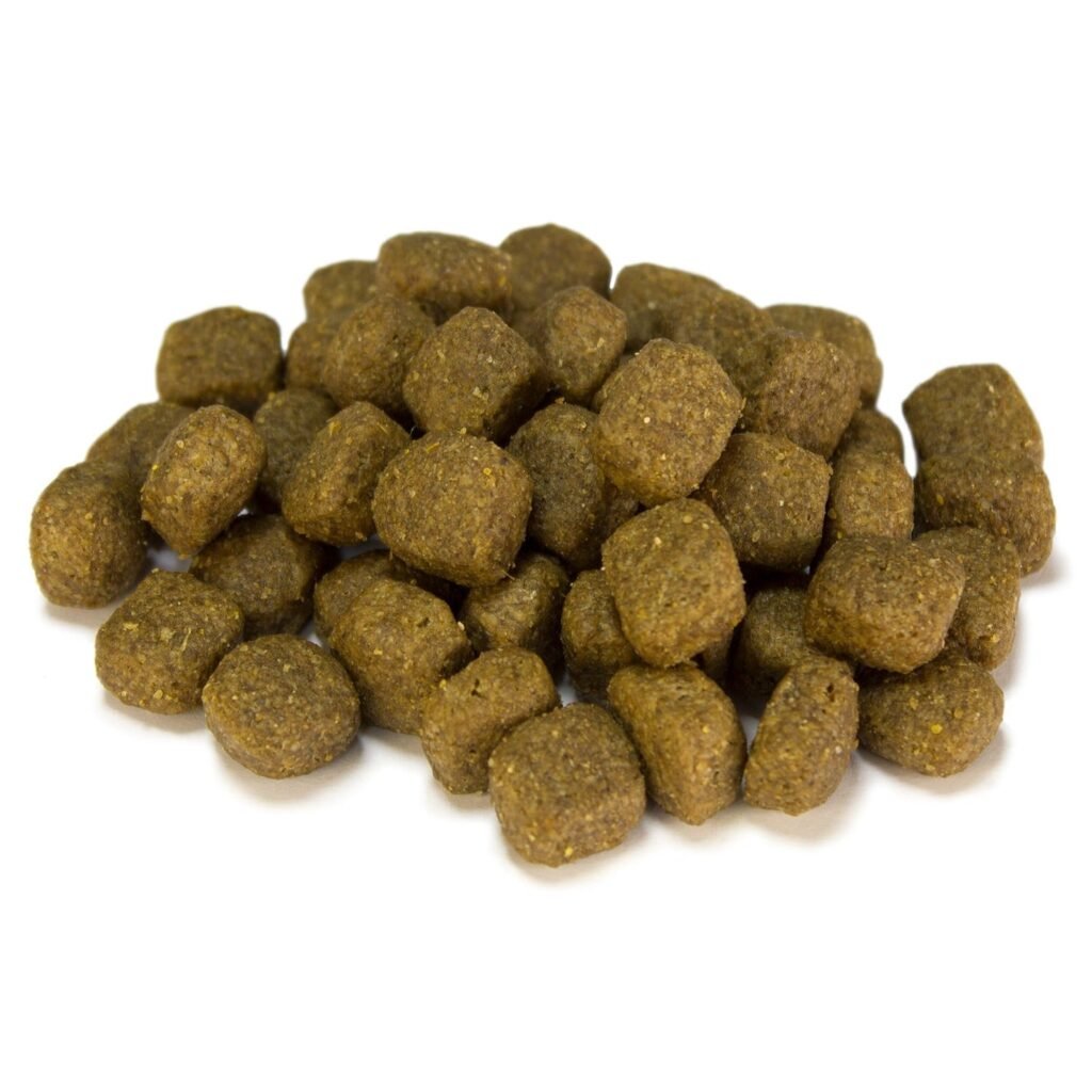 Croquettes Arquivet Adult poulet et riz pour chien, vue de prĂšs
