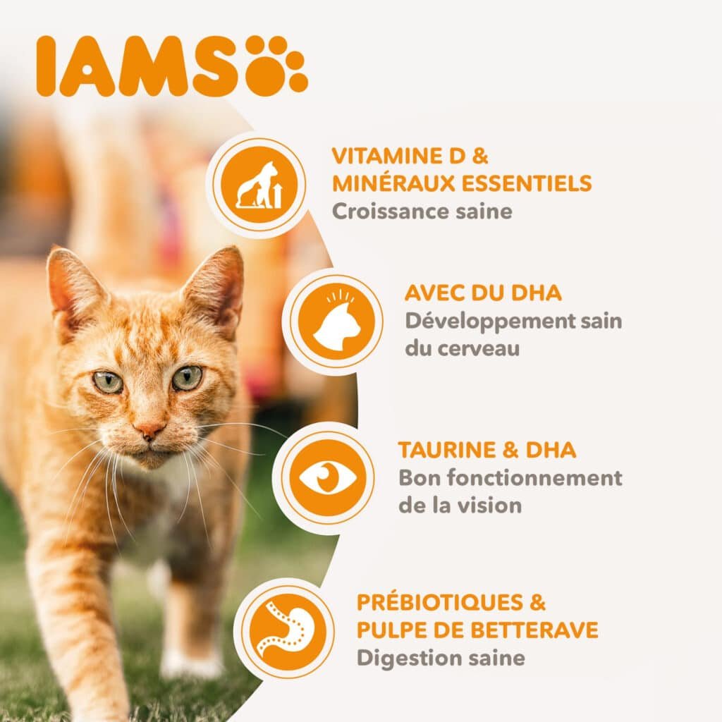 Visuel officiel Iams Advanced Nutrition chaton au poulet frais : vitamine D, DHA et taurine pour la croissance