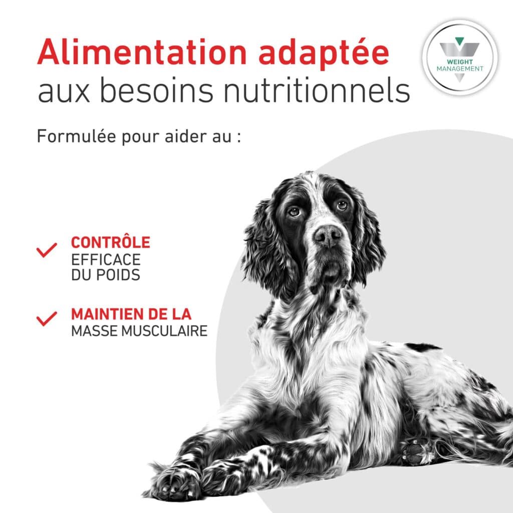 Visuel officiel Royal Canin Satiety Weight Management pour chien : contrôle du poids et maintien de la masse musculaire