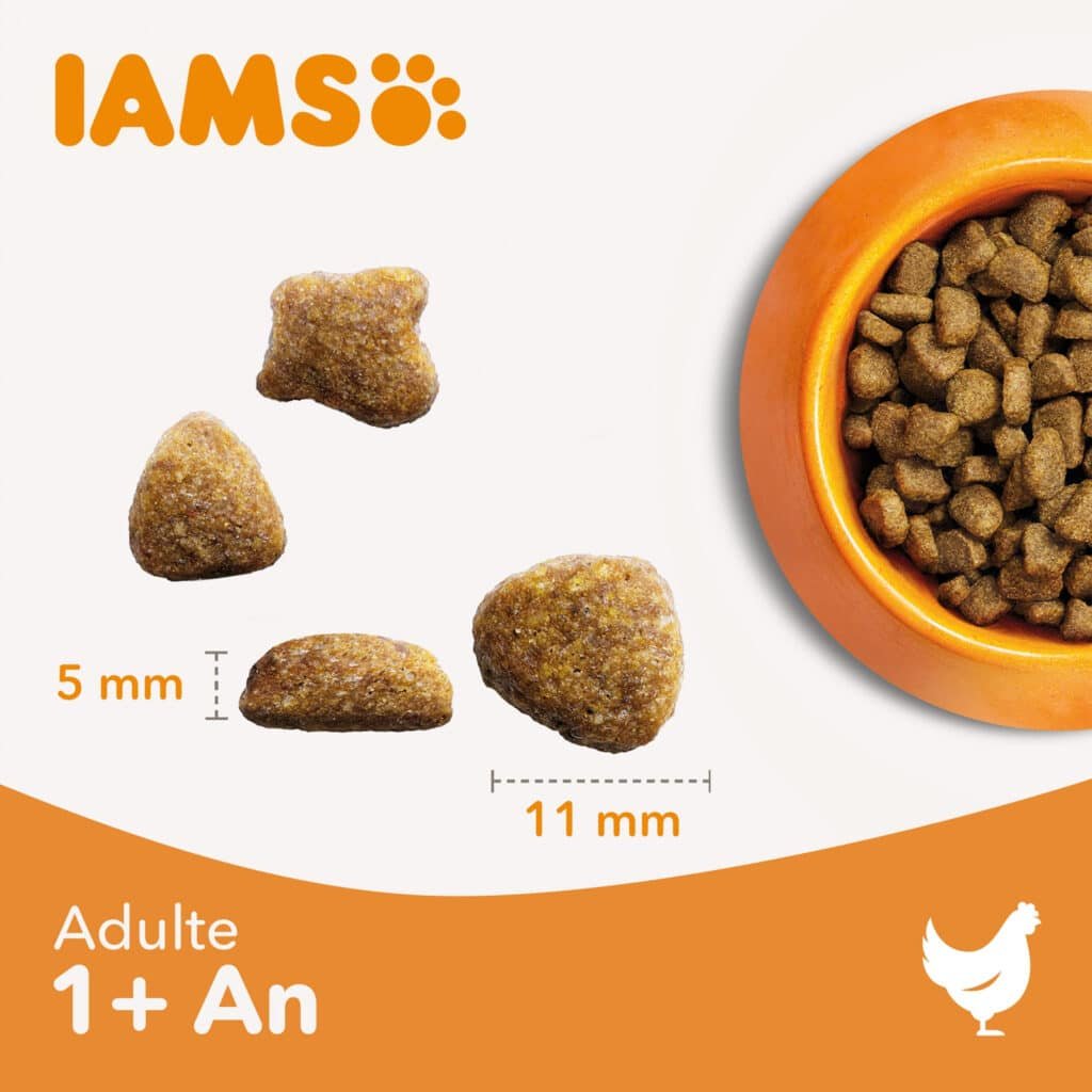 Taille des croquettes Iams Advanced Nutrition chat stérilisé au poulet frais : 5 mm sur 11 mm