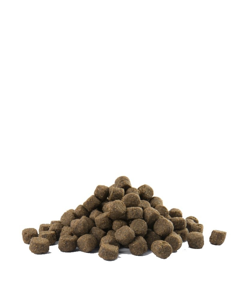 Croquettes Opti Life Prime Adult au poulet sans céréales pour chien, vue de près