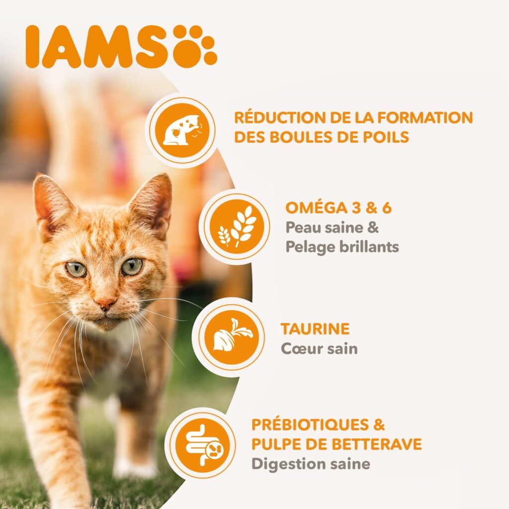 Visuel officiel Iams Advanced Nutrition anti-boules de poils pour chat adulte : réduction des boules de poils, oméga 3 et 6, taurine