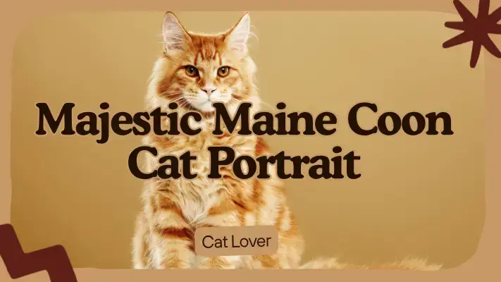 Maine Coon